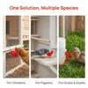 10 Sets PP Chicken Waterer Cups Durable Pigeon Waterer Cups Automatic Chicken Water Cups  Home Use