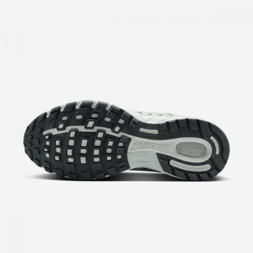 Nike W Nike Air Pegasus 2005 Nbhd Hj5271 001