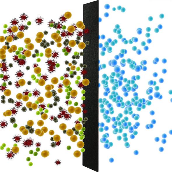 Дезодорирующий фильтрующий картридж с активированным углем, дегазирующий аммиак, дезодорирующий фильтр для туалетного лотка