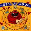CD BIG SOUL - Big Soul VER4816362 Wampagroove Rec 1995 Japan Rock Used