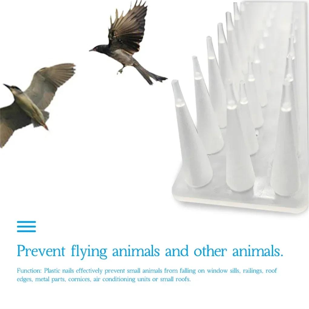 1 шт. наружные пластиковые шипы для ограждения безопасности отпугиватели кошек и птиц, доступные на садовых фермах для голубей и енотов, прозрачные шипы