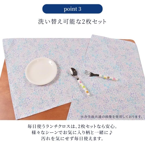 COLORFUL CANDY STYLE Lunch Cloth Standard PET "Departing Super Express