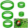 10 Pcs Aquarium Floating Plant Rings Lightweight Keep Food Plants In Place EVA Foam Floating Ring for Fish Tank