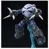 PB Exclusive RG 1/144 MSM-07 Mass-Produced Z'Gok