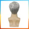 2025 Европейская мода короткий прямой парик для мужчин HW835