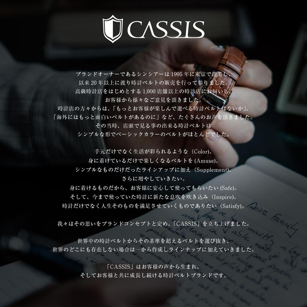 Ремешок для часов, браслет для часов, двойная раскладывающаяся застежка-бабочка с кнопками, застежка PBF RE-BUCKLE, сатинированная отделка, нержавеющая сталь, CASSIS, 20 мм, черный.