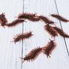 Life-like Scorpion Prank Centipede Imitation Insect Halloween Gadgets Fool's Day Toy