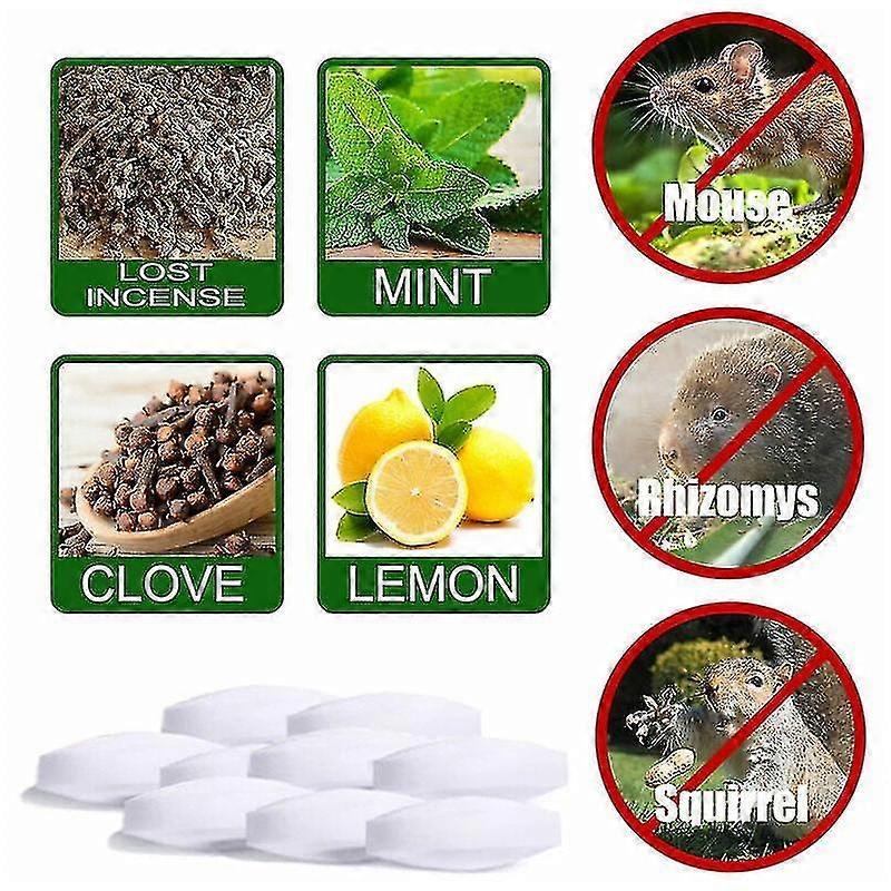 Peppermint Oil Rodent Repellent For Garden Rats And Rat Pest Control (box Of 2, 40 Pieces)