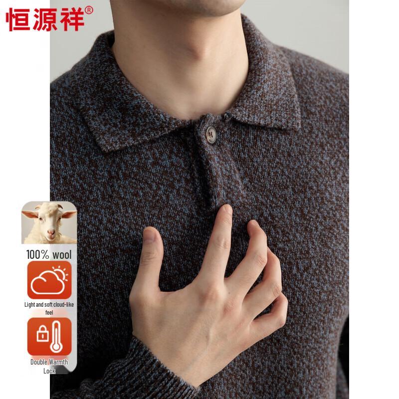 Hengyuanxiang Men's Thickened 100% Merino Wool Polo Sweater