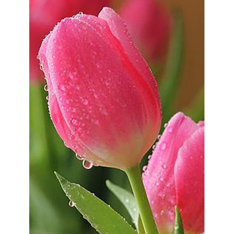 5D DIY Алмазная картина, полная круглая дрель, цветок, набор для вышивки крестом, мозаика, алмазная вышивка, роза, настенное искусство, украшение дома