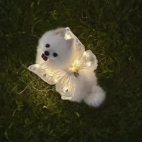 Dog Fairy Wings Light Up Butterfly Wings Pet Costume Embroidered Lights for Parties Butterfly Wings