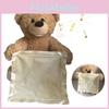 Cute Talking Teddy Bear Plush Toy 35cm Height Rechargeable Shy Face Battery Operated