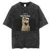 Washed Vintage System of A Down Toxicity Music Album Cover T