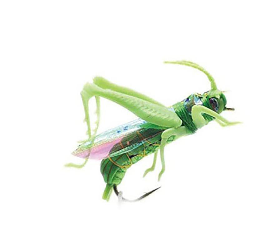 Flies Dry Fly Fishing Flies Insect Baits Fishing Lure Carp Trout Muskie Fly Tying Material Flyfishing