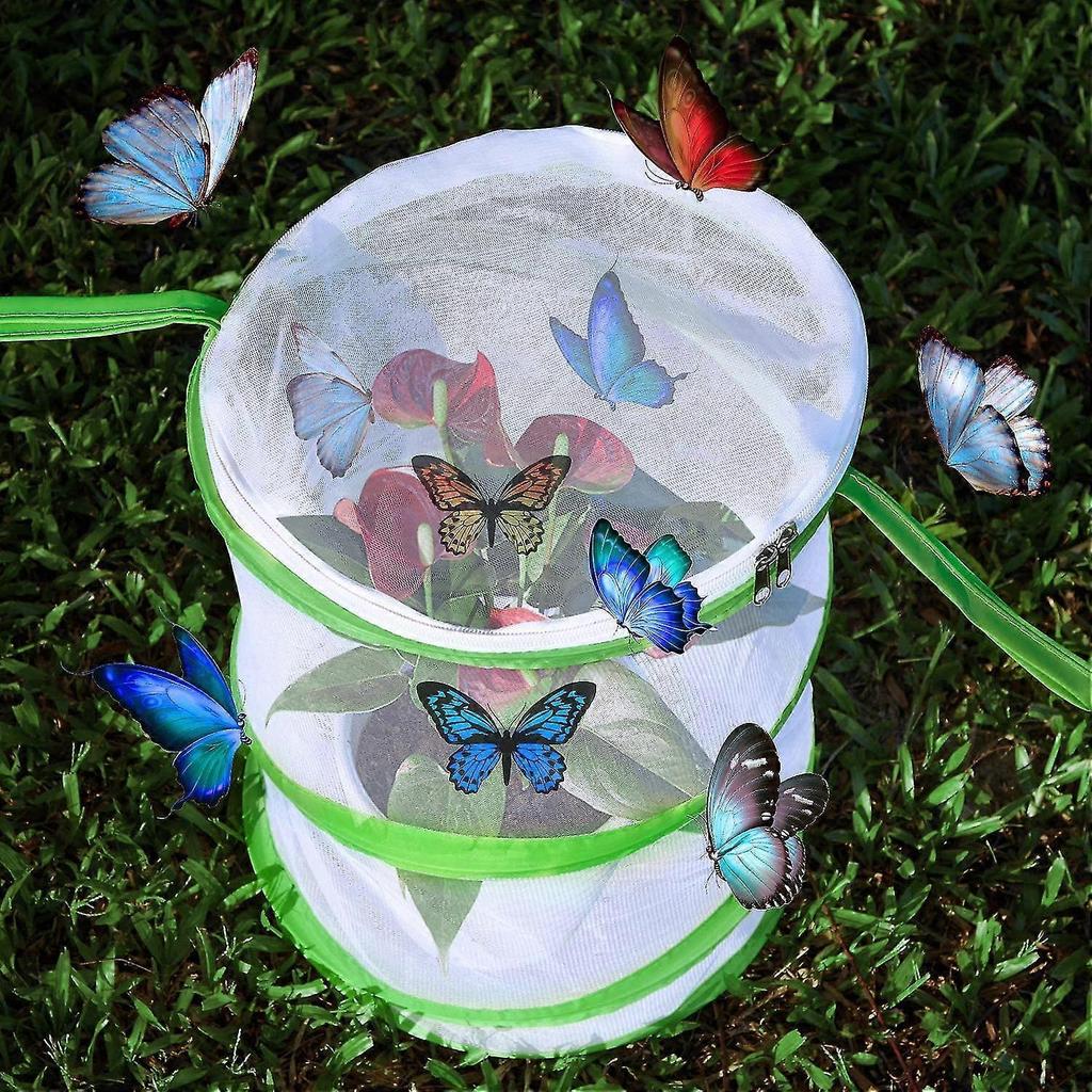 2 Pieces Foldable Insect Butterfly Perch Cage Giant Foldable Caterpillar Perches