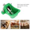 Green Pig Drinking Bowl Plastic Piglet Water Bowl Easy Clean Pig Feeder Bowl  Farm Use