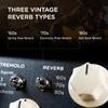 V2 Flint Reverb Tremolo Strymon/FLINT и