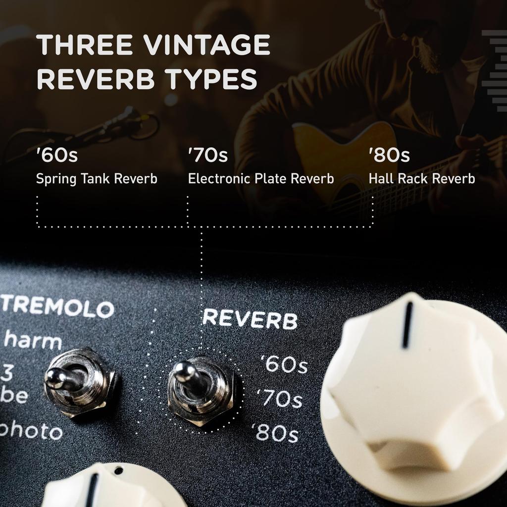 V2 Flint Reverb Tremolo Strymon/FLINT и