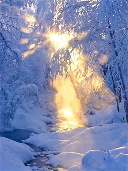 Полный квадратный круглый набор для алмазной живописи Дерево Снег Домашний декор Вышивка Мозаика Зимний пейзаж Настенное искусство