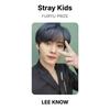 Stray Kids FURYU PRIZE Официальная фотокарточка