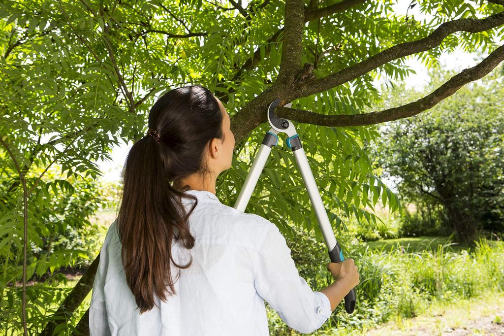 GARDENA Branch Cutting Thick Branch Cutting Cutting Diameter Anvil Grass Branch EasyCut 680A Made In Up To 25 Years Product Up To 25 Years Shears,