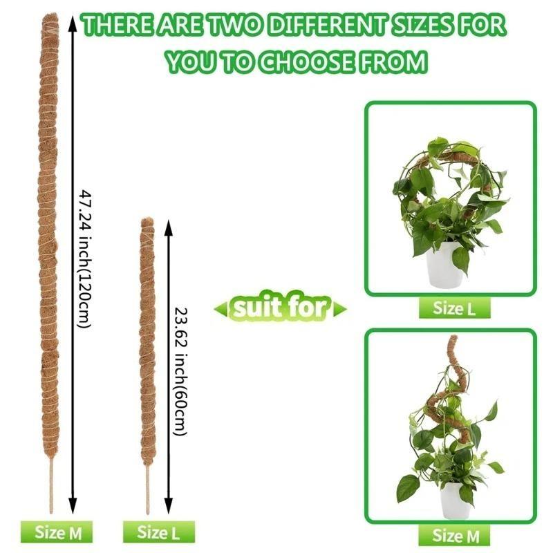 Рамка для лазанья по растениям Кокосовая скорлупа Мох Пальмовая трость Садоводство Кокосовый стержень Растягивающийся столб для скалолазания Комнатное растение Лиана