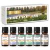 6Pcs Fragrance Oils Set Gift Box Nature Air Essential Oils for Aromatherapy Air Fresh Diffuser Skin Care DIY Candle and Soap Making