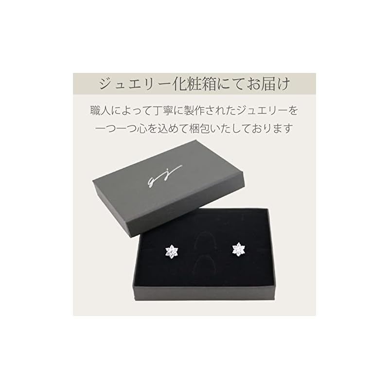 [Glam Jewelry] Chain Earrings Ladies Earrings Compatible with Metal Allergies Silver 925 Zirconia Stylish Simple Present Woman She Cute Popularity