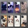 Чехол для телефона с милым котом для iPhone Samsung Galaxy Redmi Xiaomi Oppo OnePlus Note SA 7 8 9 10 11 12 13 14 20 21 22 23 53 54 Pro Max Plus Ultra TPU Soft