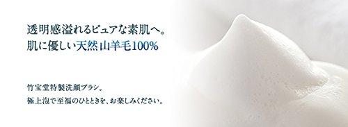 Кисть для умывания лица Chikuhodo Kumano FA-5 (черный)