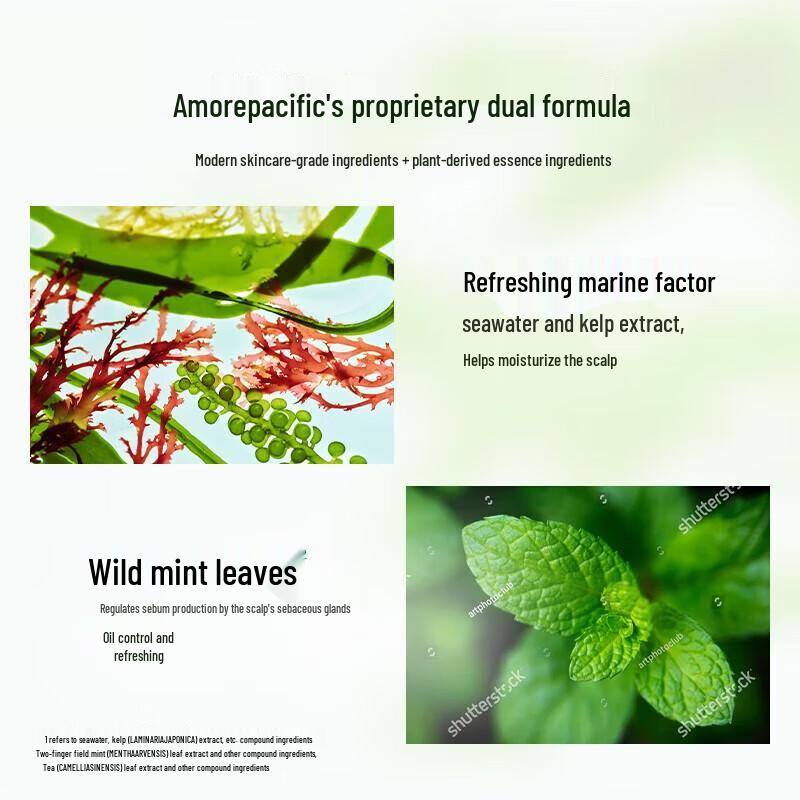 Ryo Refreshing Oil Control Shampoo