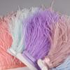 Ostrich Feathers Fringe 2M 55colors Selected Clothing Sewing Crafts Dress with Fluffy Feather Ribbon