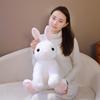 Милая плюшевая игрушка в виде сидящего кролика, мягкая плюшевая игрушка в виде животного, снежная кукла, мультяшная подушка, коричневый белый кролик, игрушки для детей и девочек