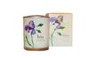 Crabtree & Evelyn, Iris, Scented Candle, 200 G
