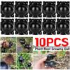 10 шт. Многоразовый шар для укоренения растений, шар для рассады, контейнер для размножения черенками, прививки, разведения для аксессуаров для домашнего садоводства