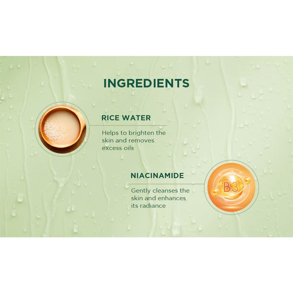 Biotique Rice Water Niacinamide Gel Face Wash 100ml For Glass Skin Brightening Oil Control Men Women