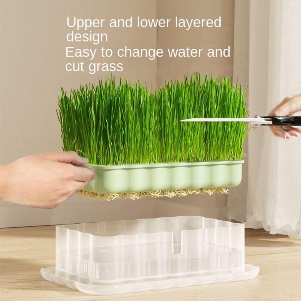 Помощник для проращивания семян Лоток для выращивания ростков Беспочвенное культивирование Миска для кошачьей травы