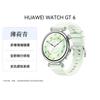 Huawei Умные часы WATCH GT 6 (Китайская версия)