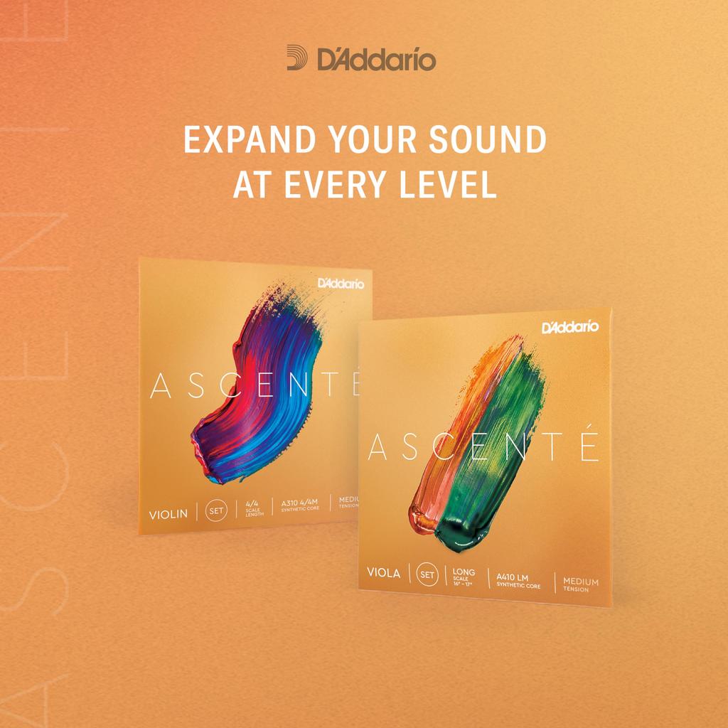 Набор скрипичных струн Ascente A310 среднего натяжения D'Addario 4/4M []