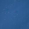 Sunshade sail, waterproof, UV shade, square, 3.6x3.6, blue