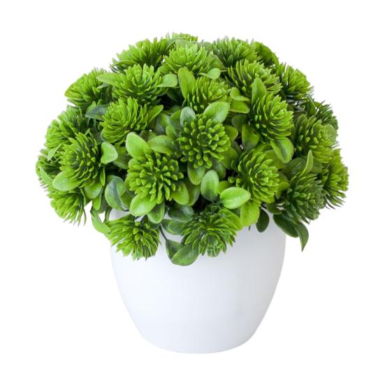 Растение бонсай, легкий уход, яркие, устойчивые к ультрафиолетовому излучению, довольно маленькие травяные растения, горшок, украшение для свадьбы