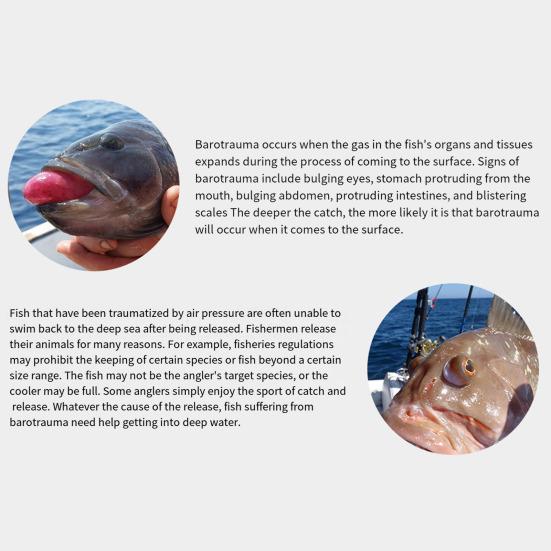 1 комплект игл для отвода газов из глубоководной рыбы, прочная полая игла для отвода газов из глубоководной рыбы, принадлежности для пресноводной рыбалки в соленой воде