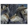 3D Diamond Embroidery Painting Cross Stitch Round Rhinestone Painting Animal Wolf