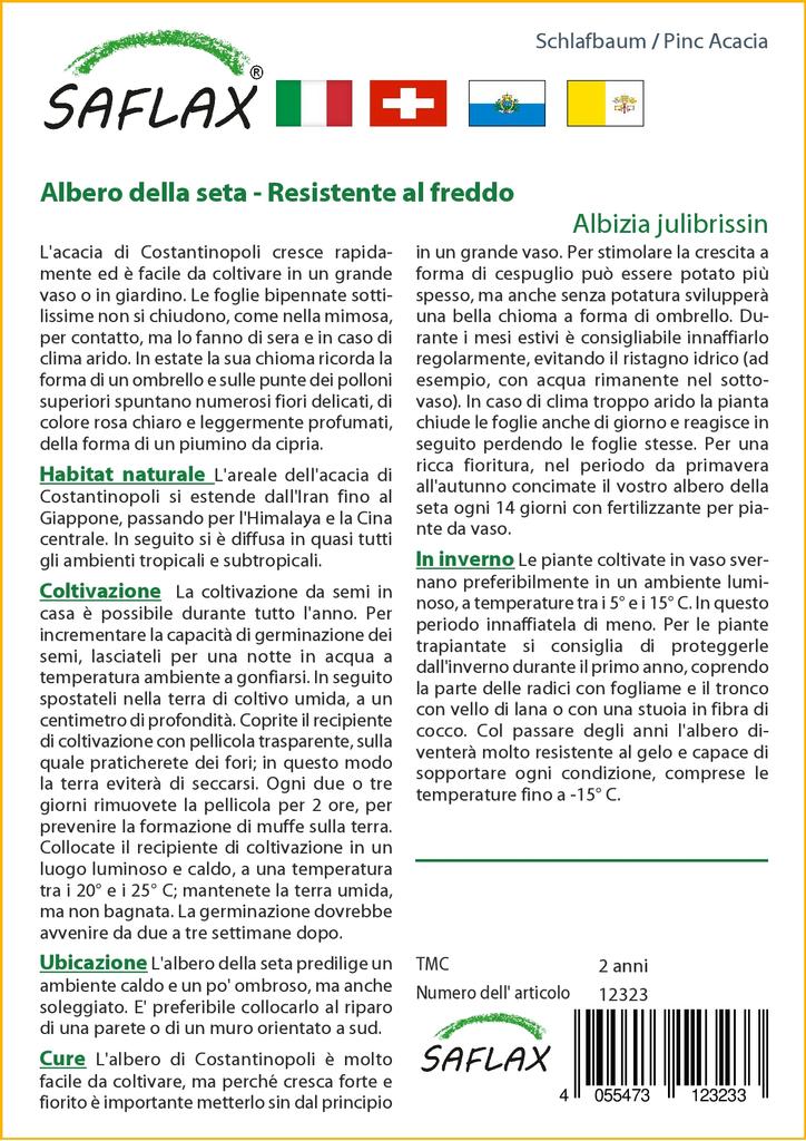 SAFLAX Pinc Acacia - 50 семян - Albizia julibrissin