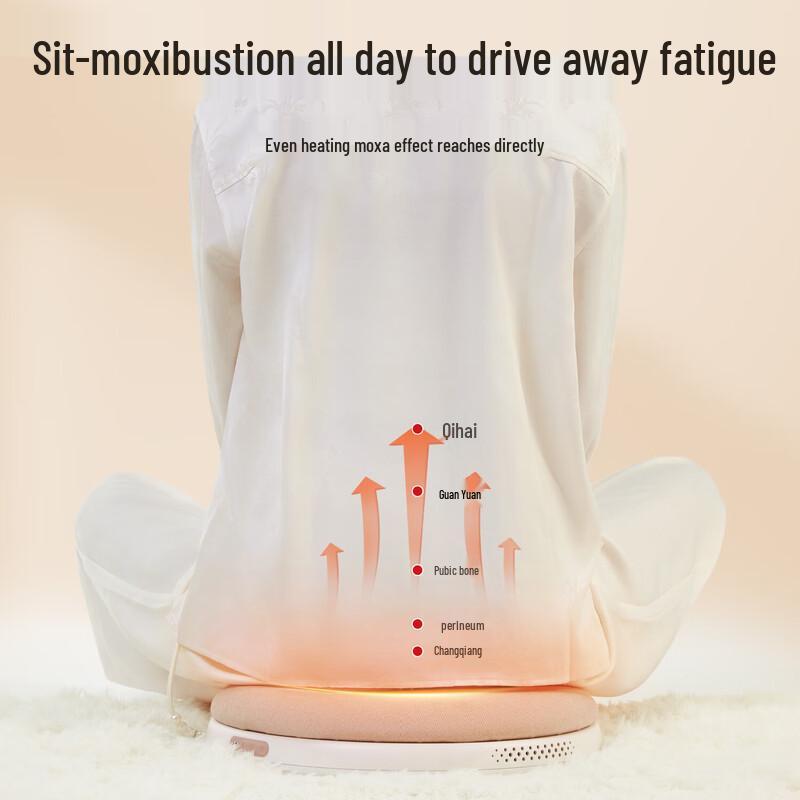 Ai Xiutang Smart Moxibustion Therapy Seat Cushion AI-P5 CN plug (adapter included)