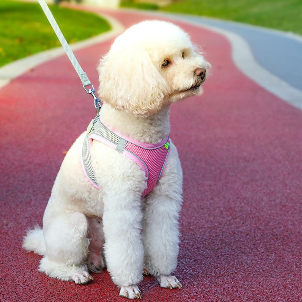 Нагрудный ремень для домашних животных, светоотражающий жилет с поводком, поводки для прогулок на открытом воздухе, аксессуары для домашних животных