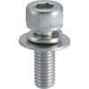 TRUSCO Hexagon Socket Assembly Bolt Stainless Steel P-3 Size M6 X 10 11 Pieces B078-0610