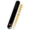 Tatsumiya Cat Chopstick Case and Chopstick Set, Black Cat Design
