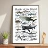 Whale and Shark Seashells Turtles Octopus Fish Marine Life Ocean Animals Poster and Print Canvas Painting  Wall Art Home Living Room