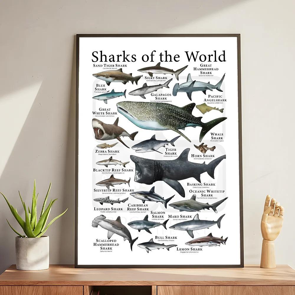 Whale and Shark Seashells Turtles Octopus Fish Marine Life Ocean Animals Poster and Print Canvas Painting Wall Art Home Living Room